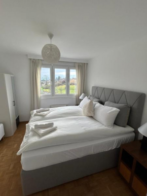 Stunning apartment with lake view Montreux